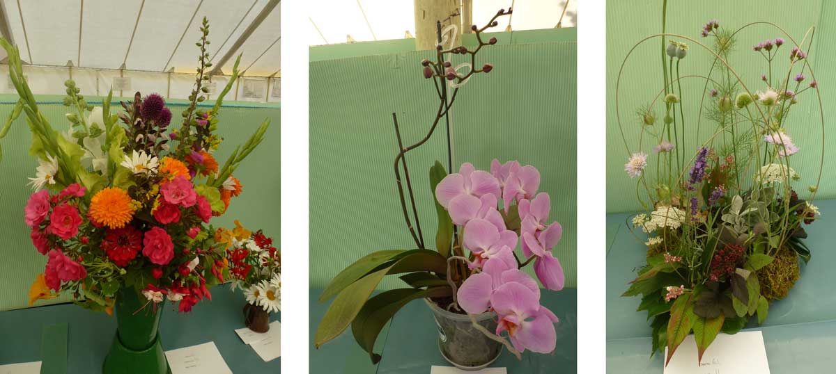 flower exhibits