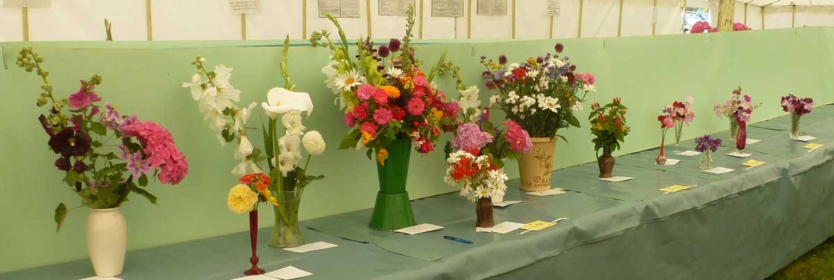 show table